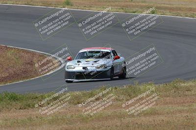 media/May-04-2024-Lucky Dog Racing (Sat) [[d39539b3f3]]/Race Pics/1015am (Turn 2)/